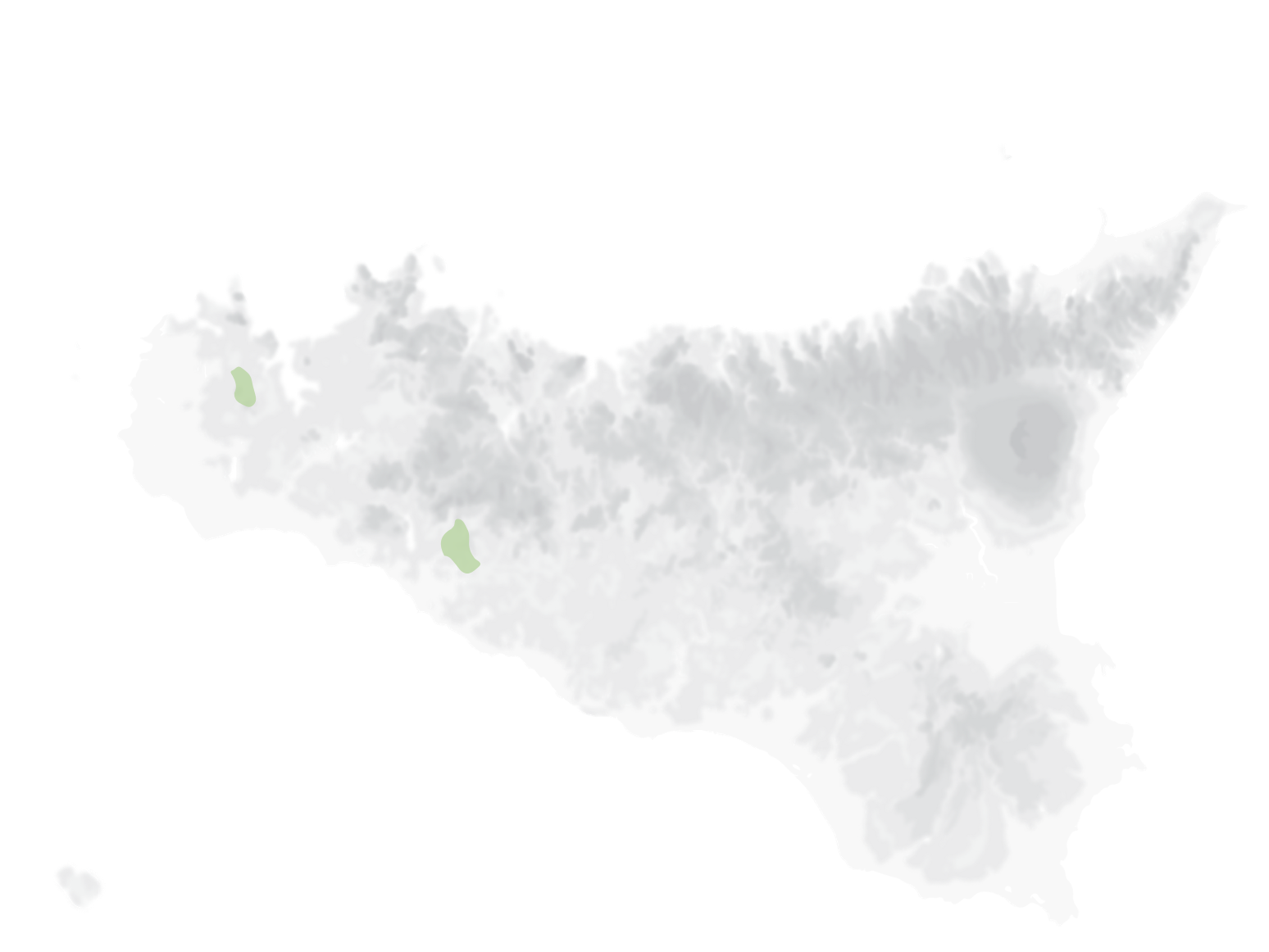 Mappa vitigni Moscato Bianco