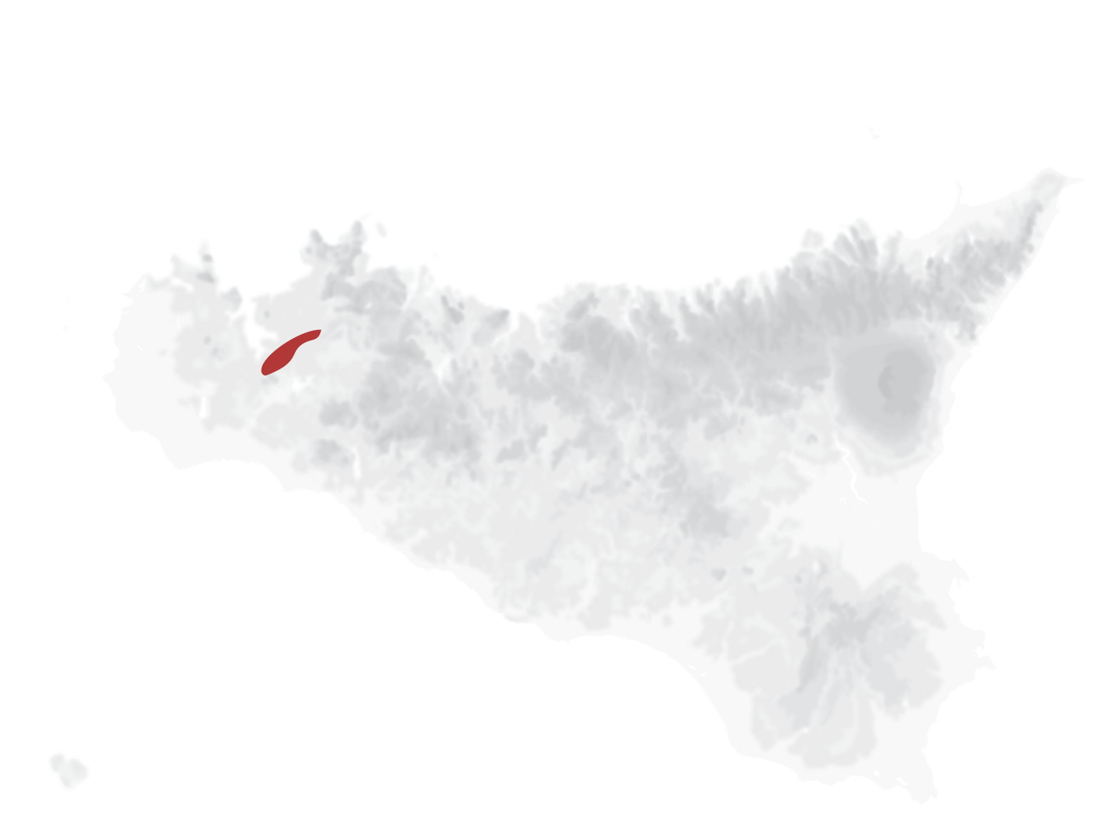 Mappa vitigni Syrah